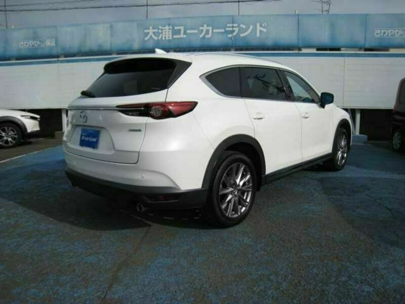 CX-8