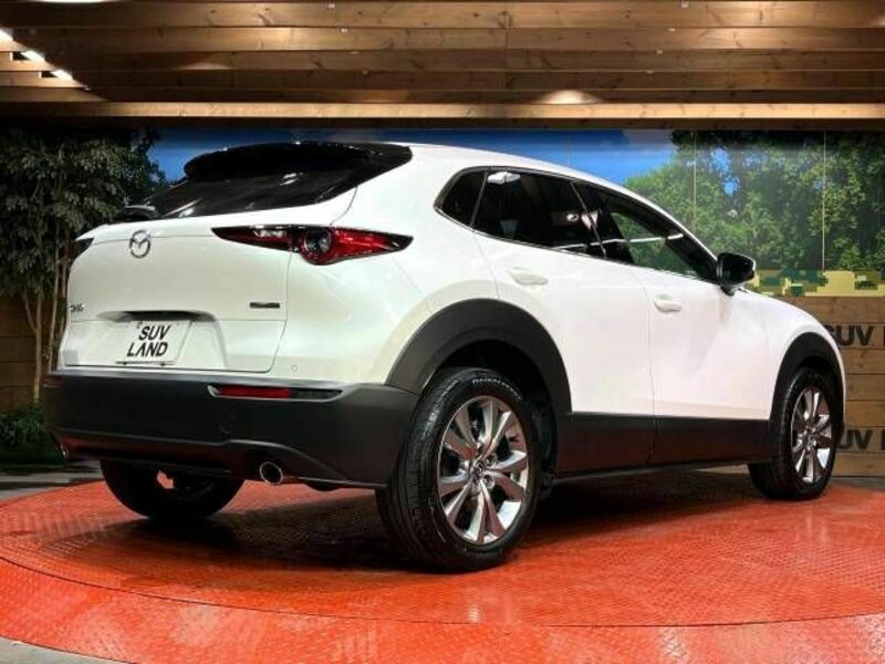 CX-30