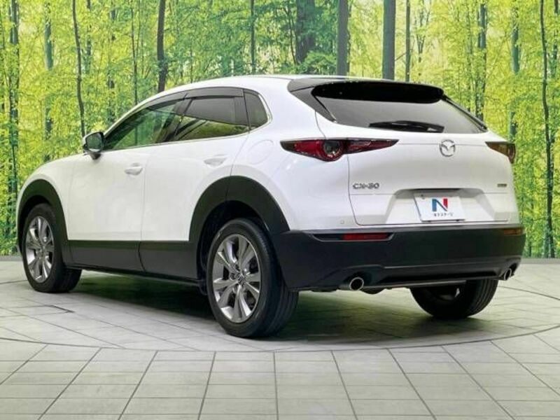 CX-30