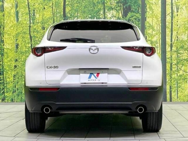 CX-30