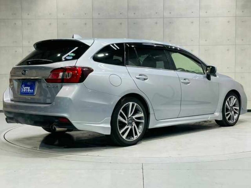 LEVORG