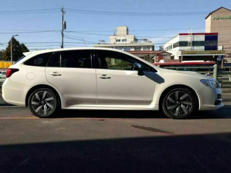 LEVORG