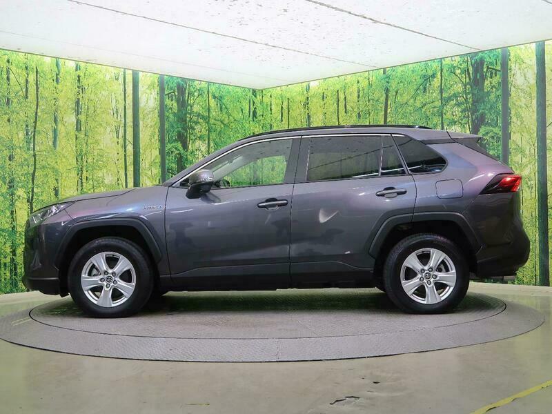 RAV4-30