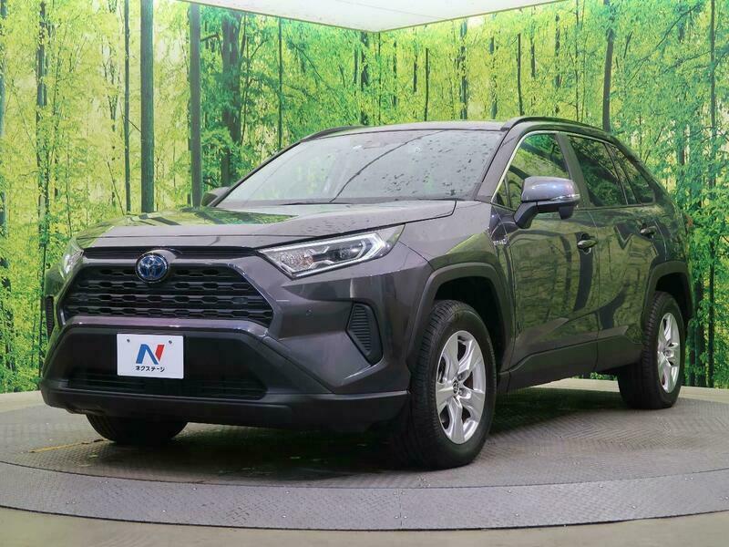 RAV4-29