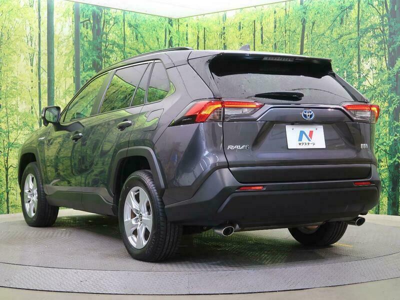 RAV4-19