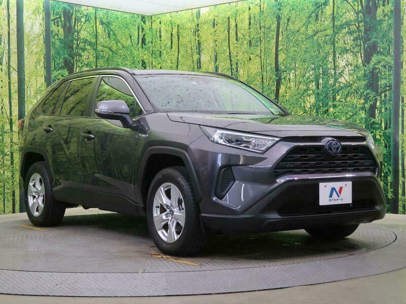 RAV4-47