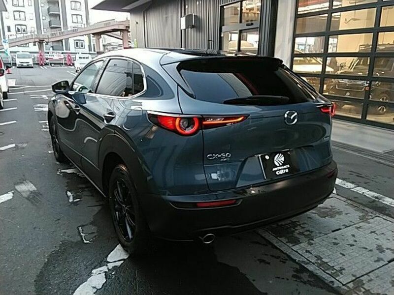 CX-30