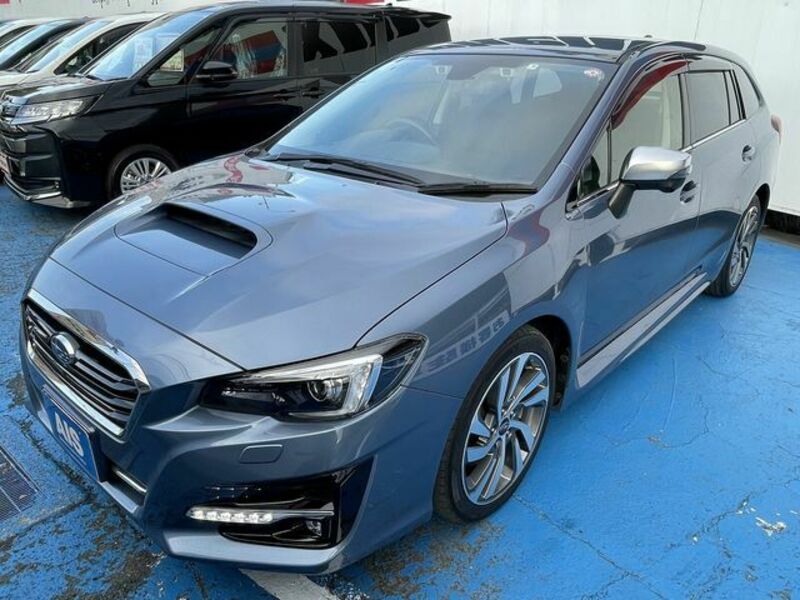 LEVORG-0