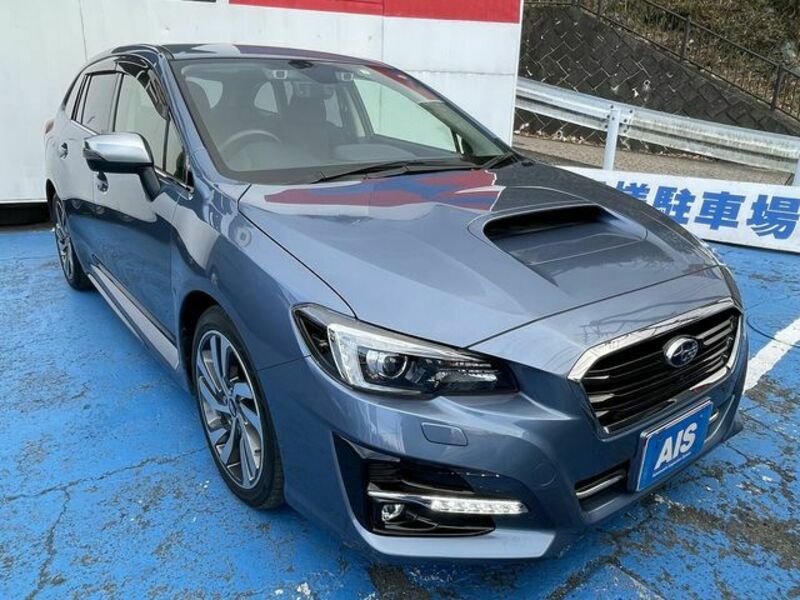 LEVORG