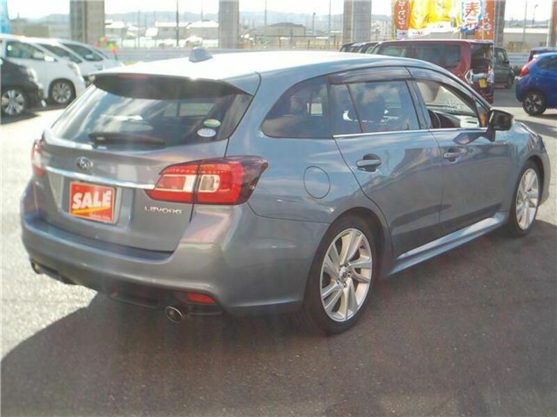 LEVORG