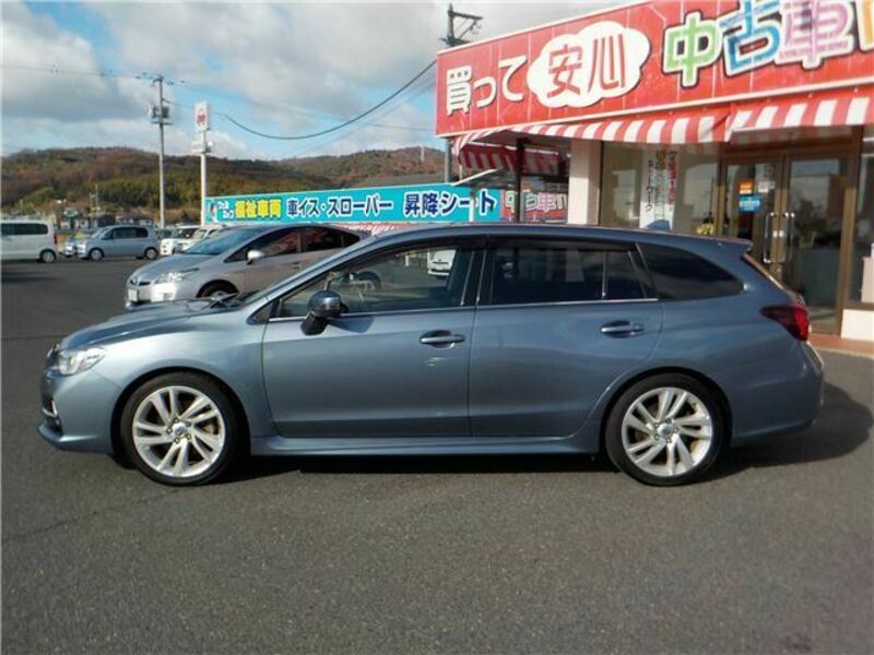 LEVORG