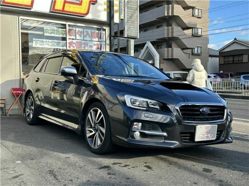 LEVORG