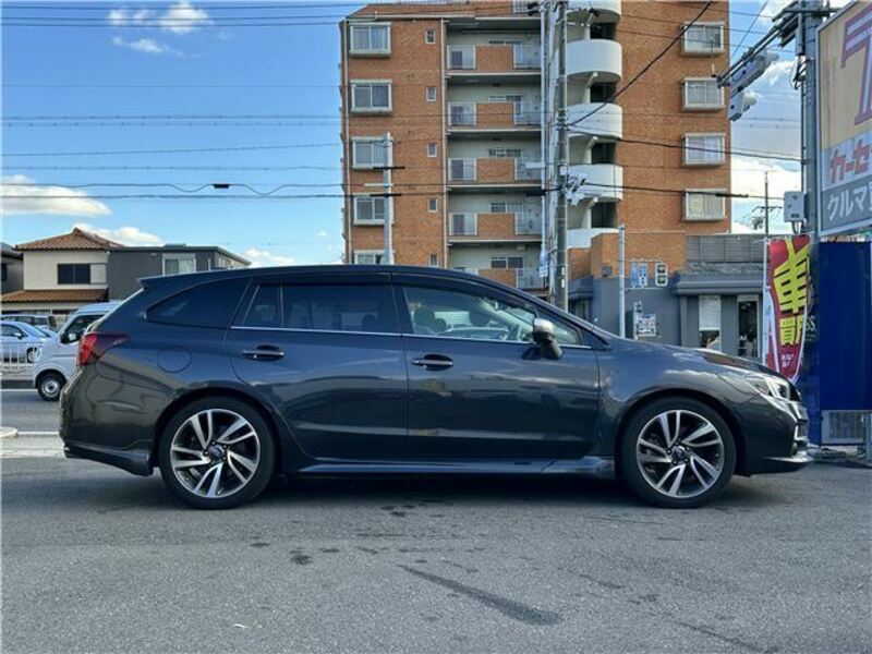 LEVORG