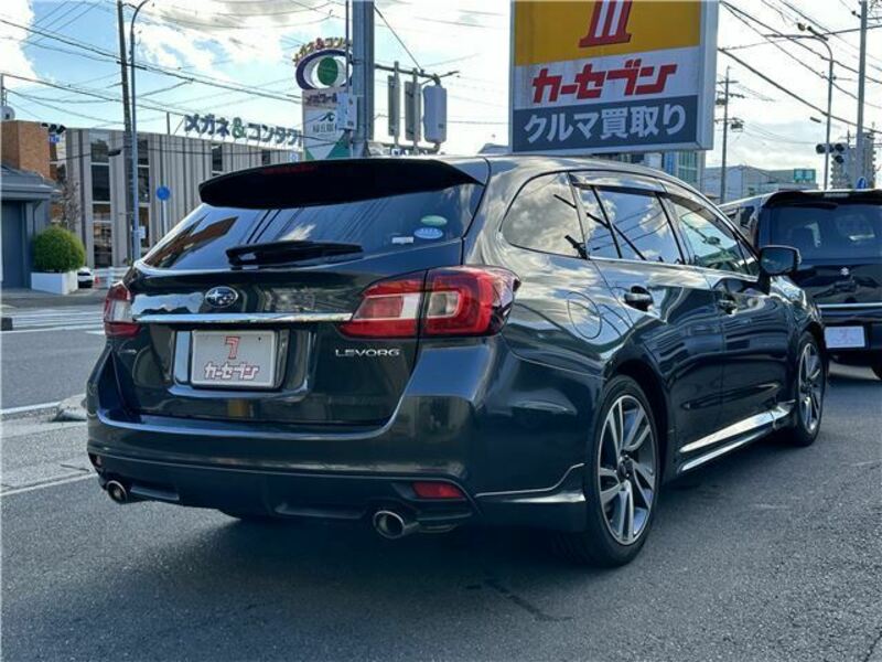 LEVORG