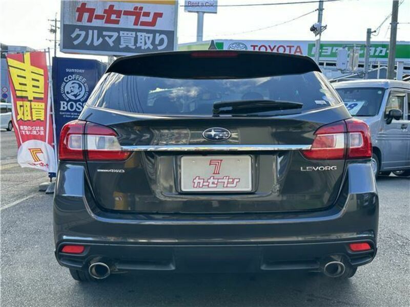 LEVORG