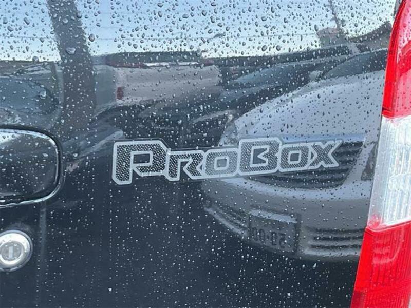 PROBOX VAN