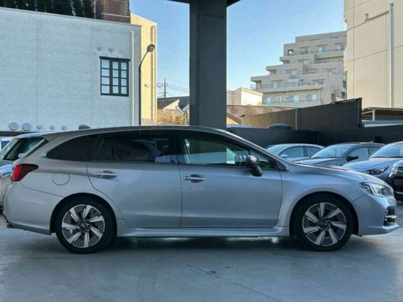 LEVORG