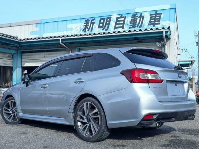 LEVORG