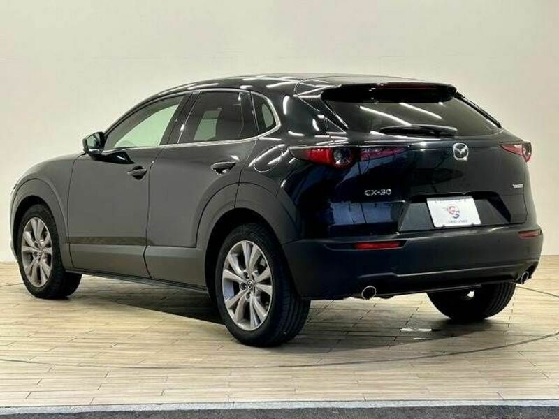 CX-30