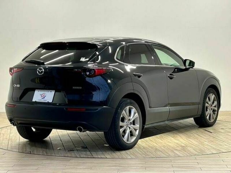 CX-30