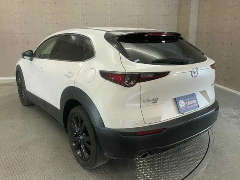 CX-30