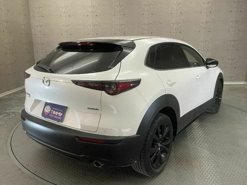 CX-30