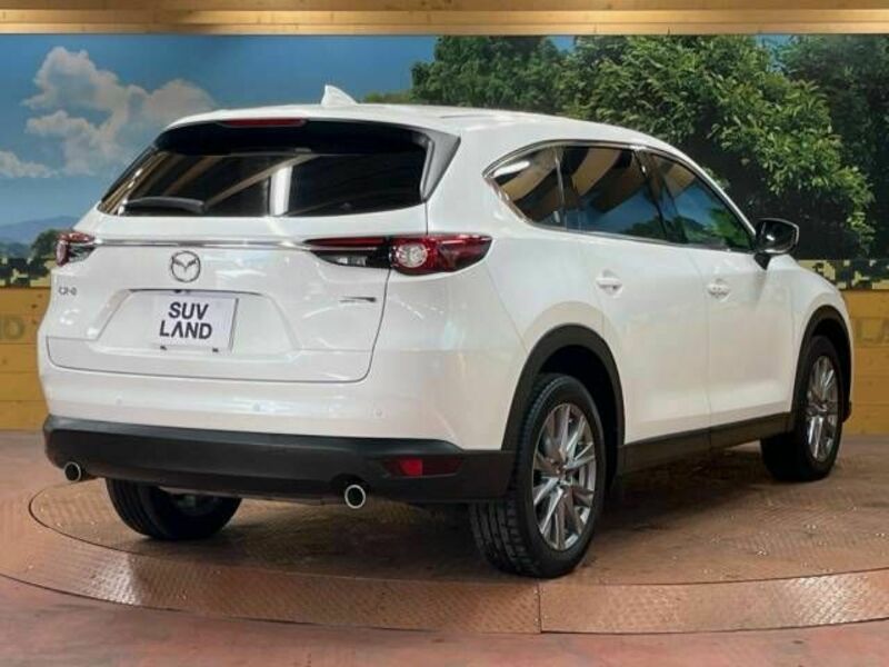 CX-8