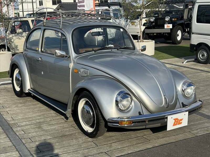 THE BEETLE