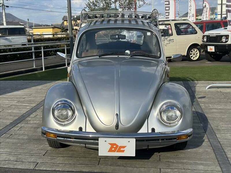 THE BEETLE