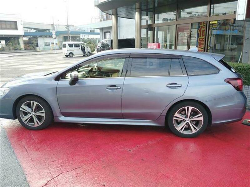 LEVORG