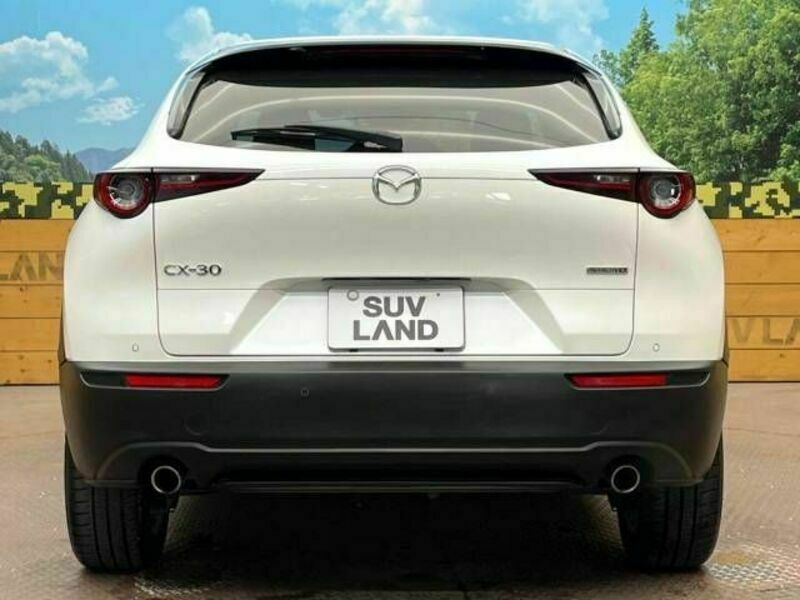 CX-30