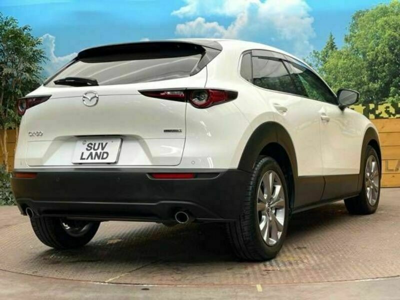 CX-30