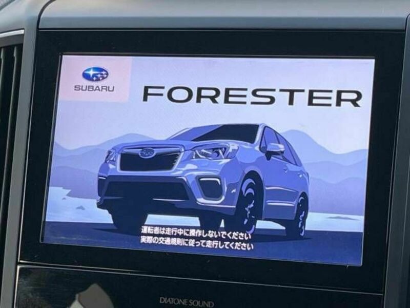 FORESTER