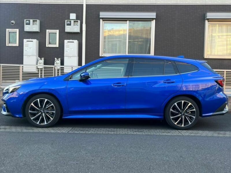 LEVORG