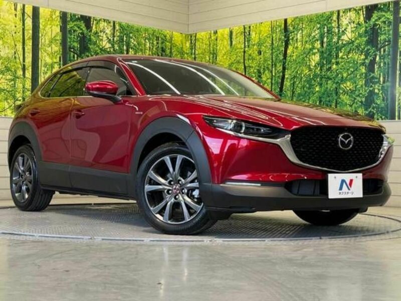 CX-30