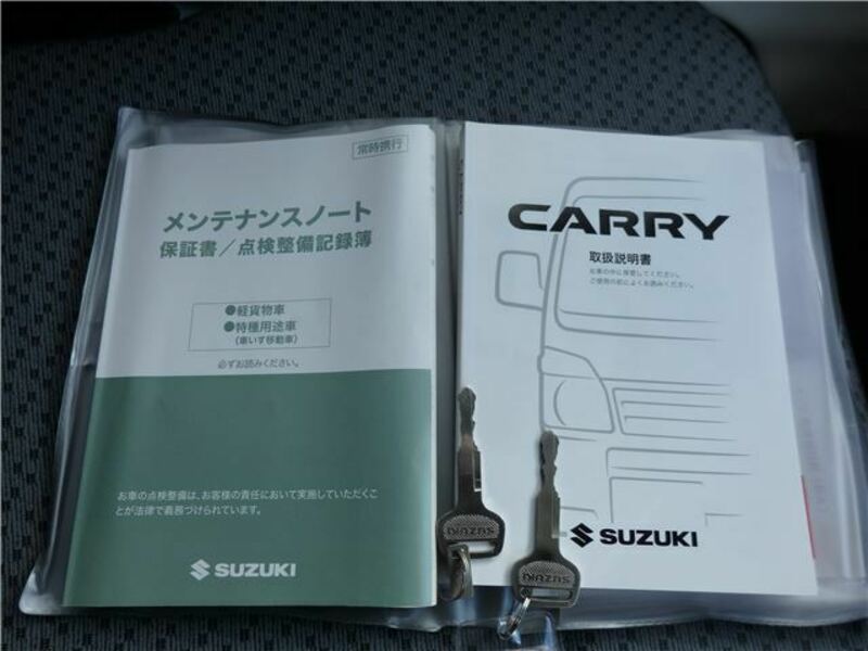 CARRY TRUCK