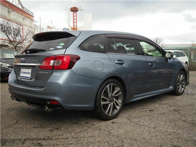 LEVORG