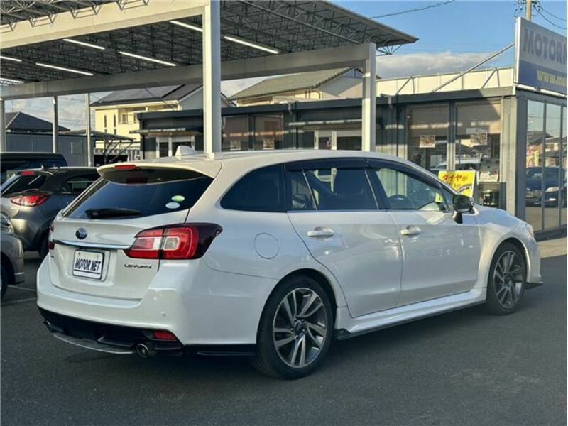 LEVORG