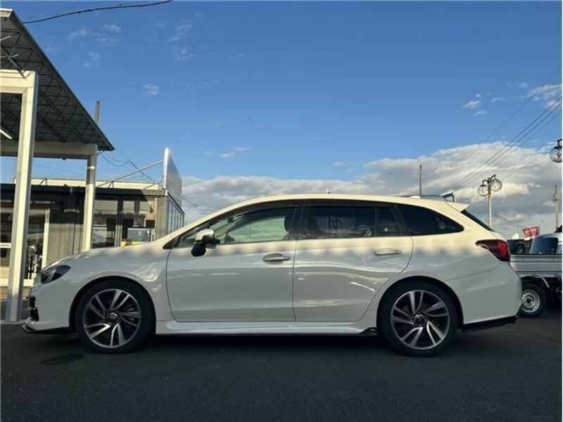 LEVORG