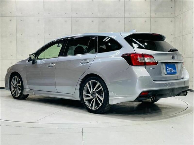 LEVORG