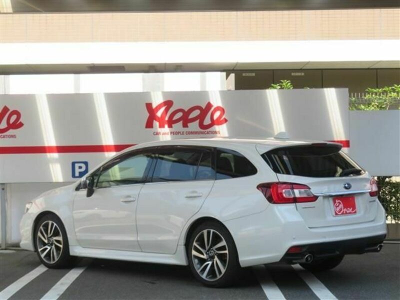 LEVORG