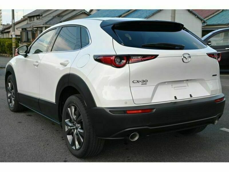 CX-30