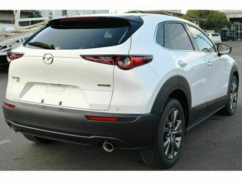 CX-30