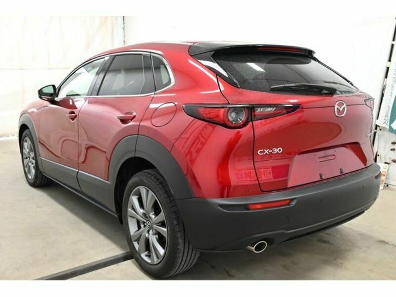 CX-30