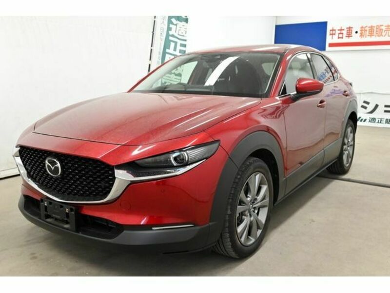 CX-30