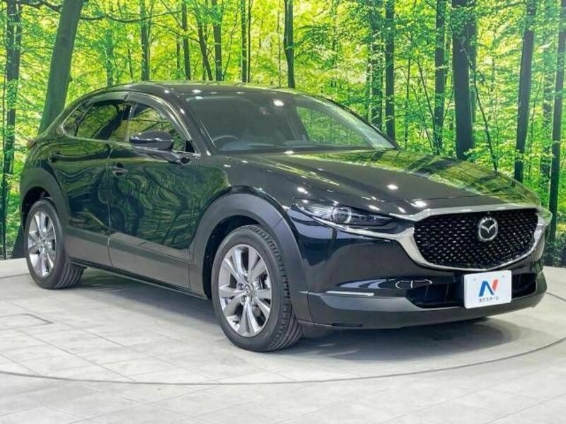 CX-30