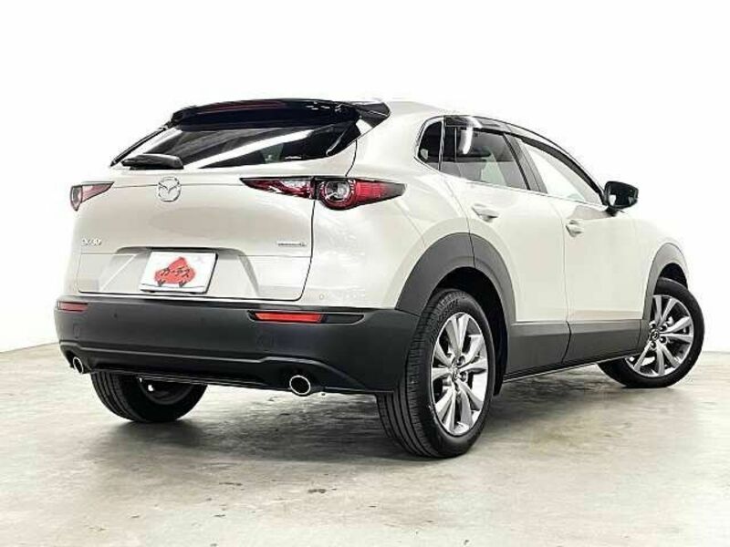 CX-30