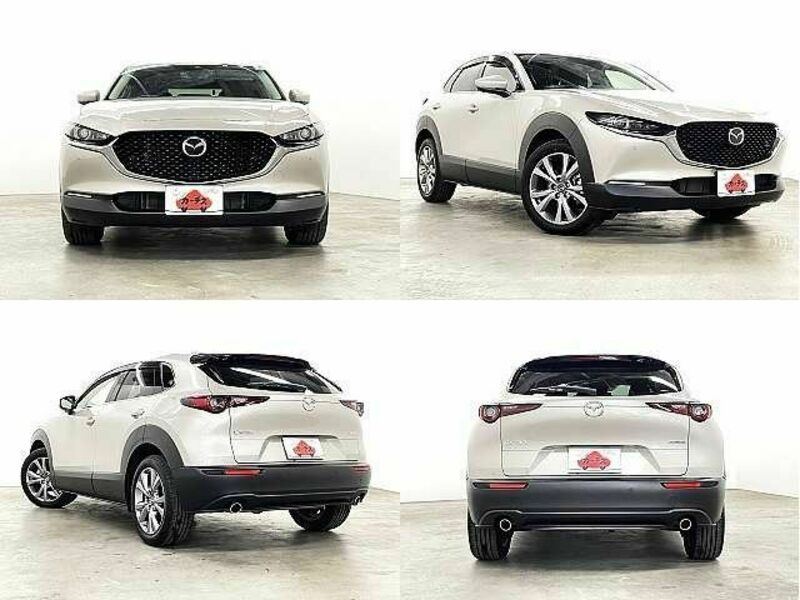 CX-30