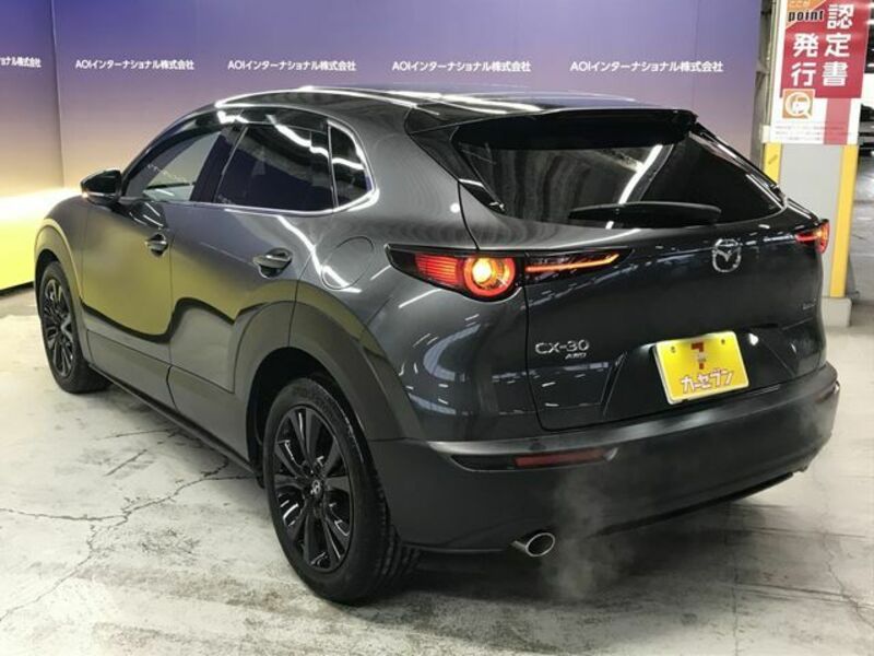 CX-30