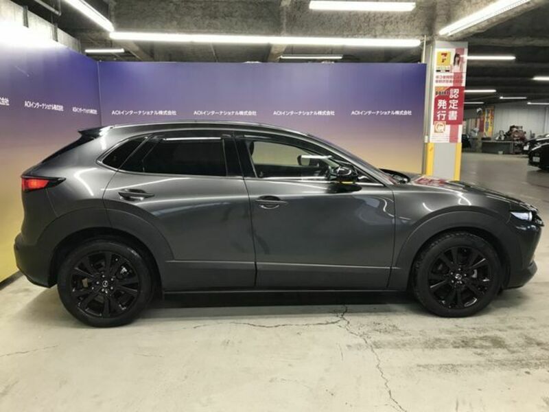 CX-30